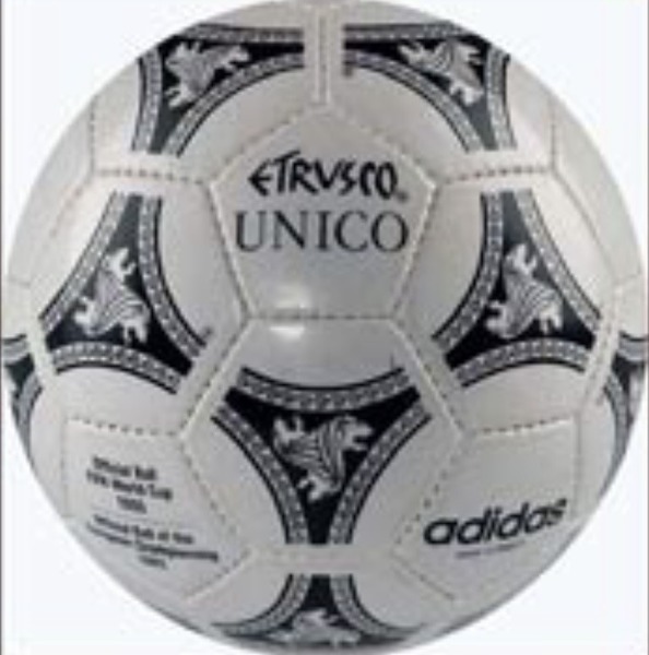 Ballon de la coupe du monde :