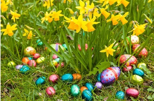 En ce 4 avril 2021, les Catholiques et les Protestants fêtent Pâques. La tradition de l'Occident catholique veut que les œufs distribués aux enfants soient apportés ce jour-là par :