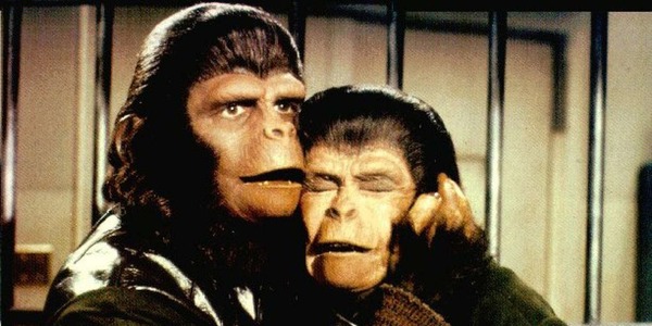 Comment s’appelle la femme chimpanzé qui sauve Ulysse Mérou dans « La planète des singes » ?