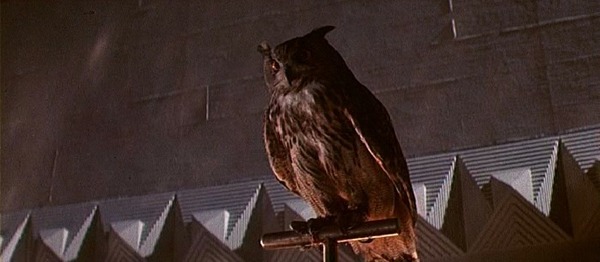 Dans «Blade Runner» (1982), une colombe s’envole des mains de Roy (Rudger Hauer) quand celui-ci décède. Quel autre oiseau appartient au bestiaire du film de Ridley Scott ?