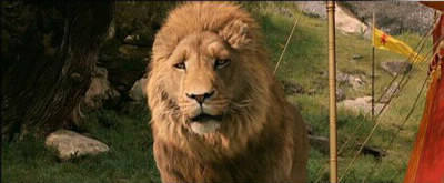 Comment s'appelle ce lion ?