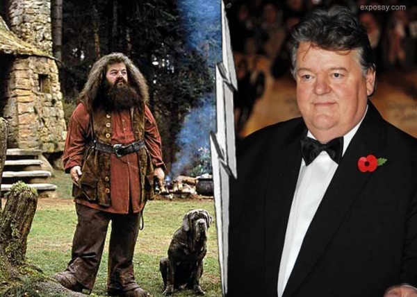 Qui interprète le rôle de Rubeus Hagrid ?