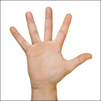 Comment se nomme le doigt le plus proche de l'auriculaire ?