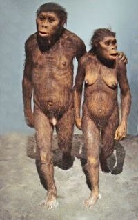 Les premiers hominidés sont apparus il y a environ 4 millions d'années... Quel genre d'hommes préhistoriques est apparu en premier ?