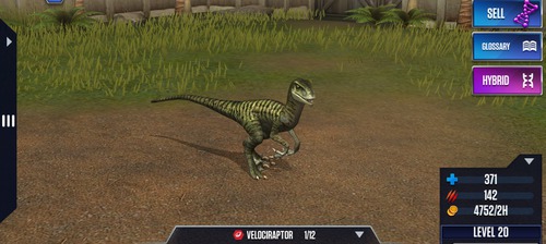Milyen a Velociraptor?