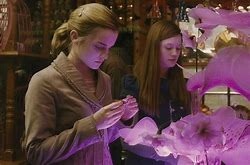 Qu'est-ce qui intéresse le plus Hermione à la boutique de Fred et George ?