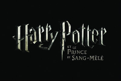 Dans Harry Potter 6 qui est le Prince de sang-mêlé ?