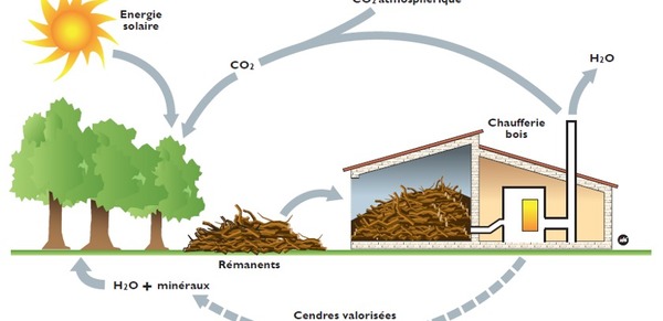 Qu'est-ce que la biomasse ?