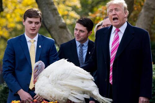 How many turkey(s) pardons the president of America ?