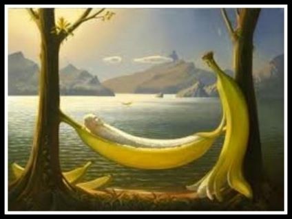 La banane peut se manger cuisinée ou crue, en accompagnement salé ou en dessert sucré.