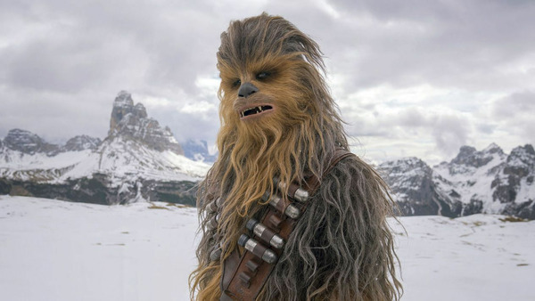 De quelle espèce Chewbacca est-il ?