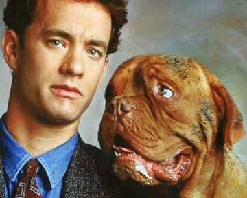 Dans quel film Tom Hanks est-il accompagné d'un Dogue ?