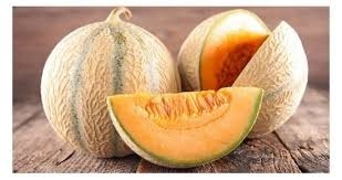 Animaux - Quel animal possède un organe appelé "melon" ?