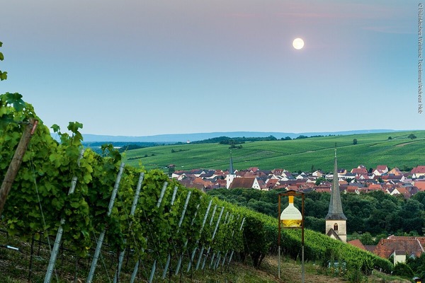 Le Vignoble de Franconie, qui s'étend sur plus de 6000 ha, est associé à quel pays ?