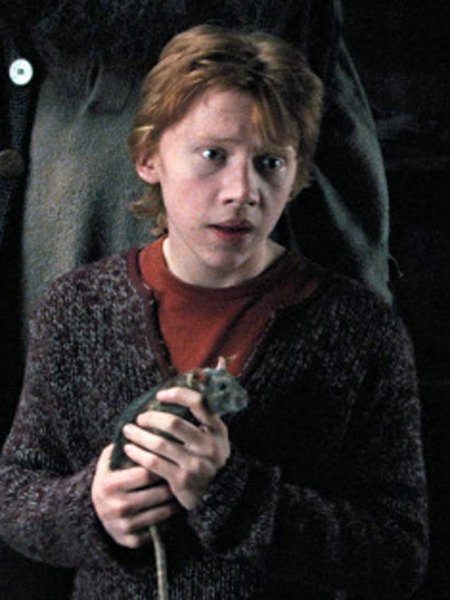 Qui était réellement Croûtard, le rat de Ron ?