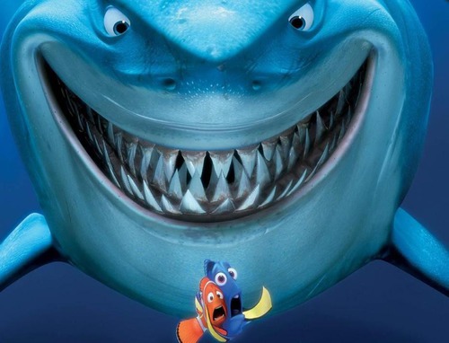 Dans Nemo, De quelle race de requin Bruce est-il ?