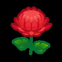 Comment s'appelle cette fleur ?