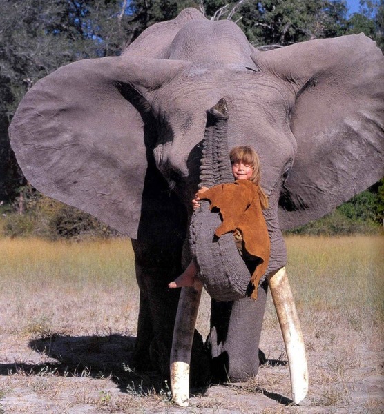 Jusqu'à l'âge de 10 ans, Tippi a vécu avec les animaux d'Afrique, identifiez son ami !