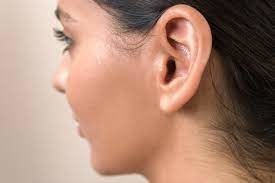 Comment appelle-t-on la partie extérieure de l’oreille ?