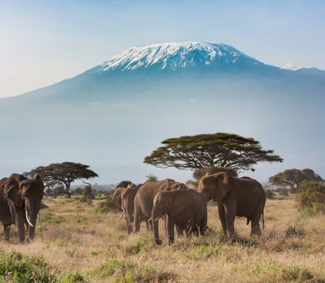 Dans quel pays se trouve le Kilimandjaro, point culminant de l’Afrique ?