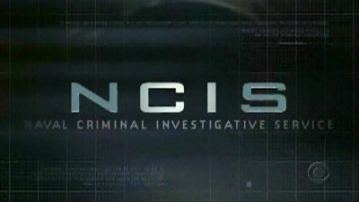Que veut dire "NCIS" ?