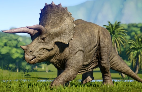 Grand ennemi du tyrannosaure, un peu l'ancêtre du rhinocéros ?