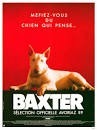Le chien du film "Baxter" est de race :