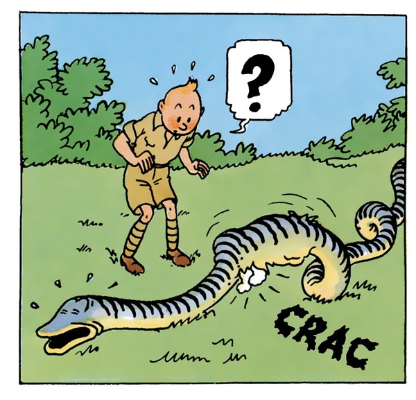 Dans lequel des Tintin, Milou se fait manger par un boa ?