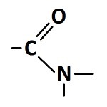 Quelle est la fonction de cette chaine carbonée ?