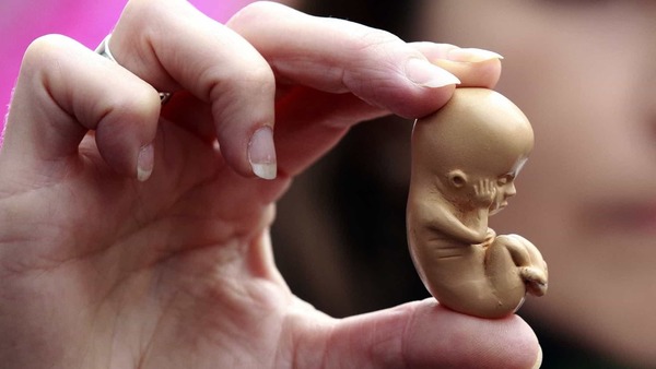 A maior parte dos casais decidem doar os embriões a investigações científicas.