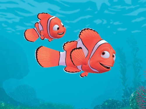 Quel est le nom du papa de Nemo ?