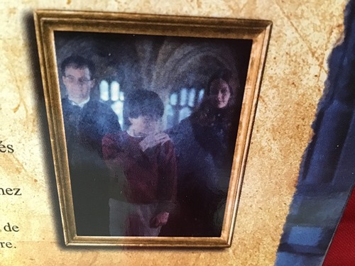 Harry trouve le miroir mais qui le convainc de ne pas retourner le voir ?