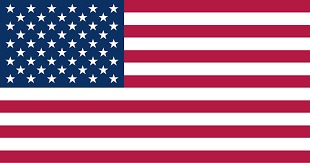 How many stars are there on the flag ?