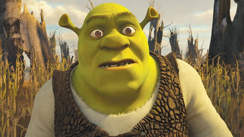 En quelle matière le gilet de Shrek est-il fait ?