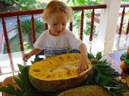 Dans les régions tropicales, quel est le nom du fruit comestible surnommé le « fruit du pauvre » ?