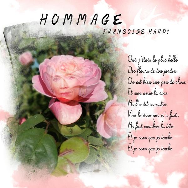 C'est la perle de l'aurore !