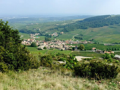 Les deux appellations différentes Pouilly fuissé (bourgogne) et Pouilly fumé (nivernais) sont des vins issus du même cépage.