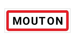 Dans quel departement se trouve la commune de Mouton ?