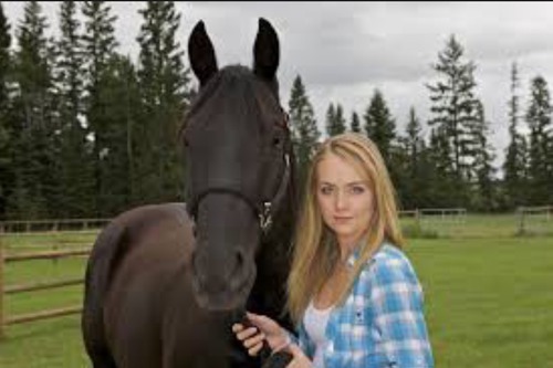 Quel est le nom de ce cheval ?