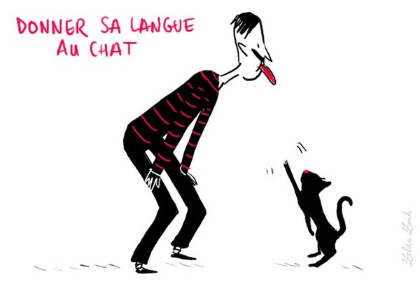 Qu'est-ce que je fais si "je donne ma langue au chat" ?