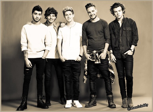 Lequel des 5 chanteurs est parti des One Direction ?