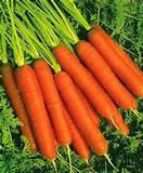 Qui adore les carottes ?