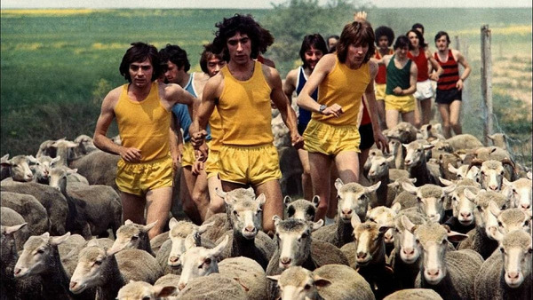 Qui est ce célèbre groupe d'humoristes que l'on retrouve à l'affiche de "Les Fous du Stade" en 1972 ?