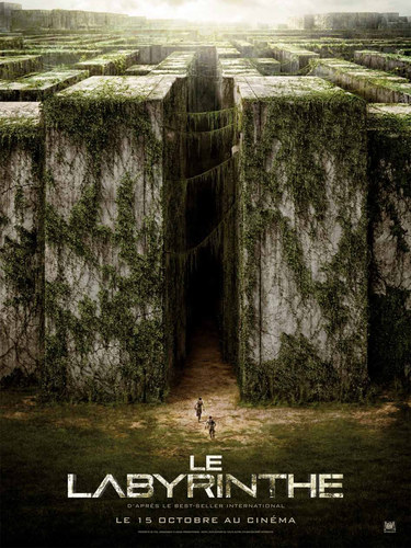 Dans "Labyrinthe", comment se nomme le 1er homme à entrer dans le labyrinthe ?