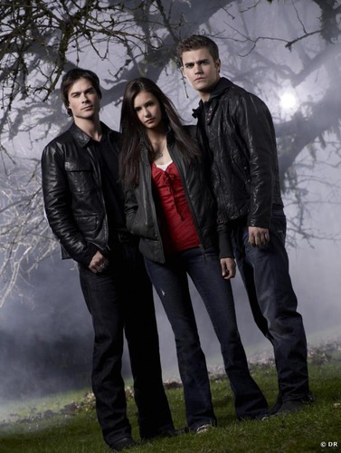 Qui a transformé Stefan et Damon en vampires dans la série The Vampire Diaries ?
