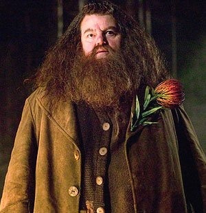 Qui est Hagrid ?