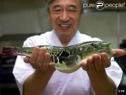 Le fugu est un poisson très apprécié en cuisine au Japon. Quelle est sa particularité ? Il …