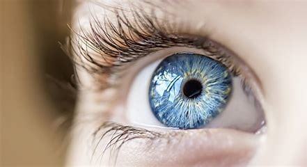 La prunelle de mes yeux.