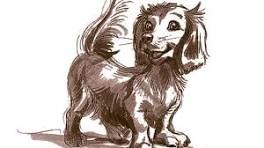 Comment s'appelle le chien ?