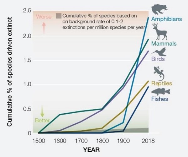 Pourquoi parle-t-on de 6ème extinction en cours ?